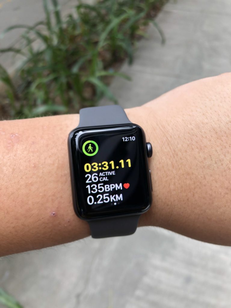 Apple Watch Series 3 - Workout